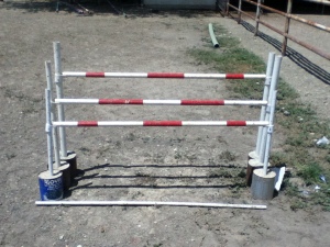 mini horse jump poles